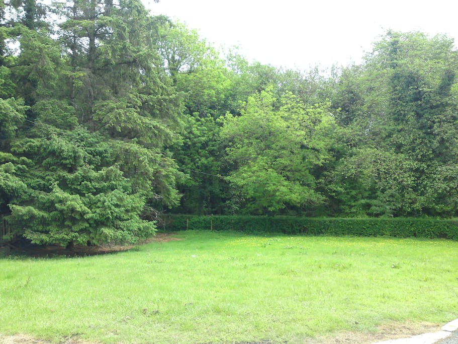 Gardens around cottage