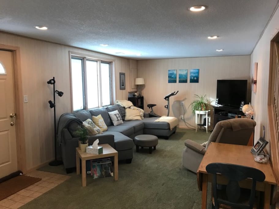 Basement entertainment room
