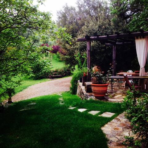 A Whole Charming Property facing Florence gallery image 4