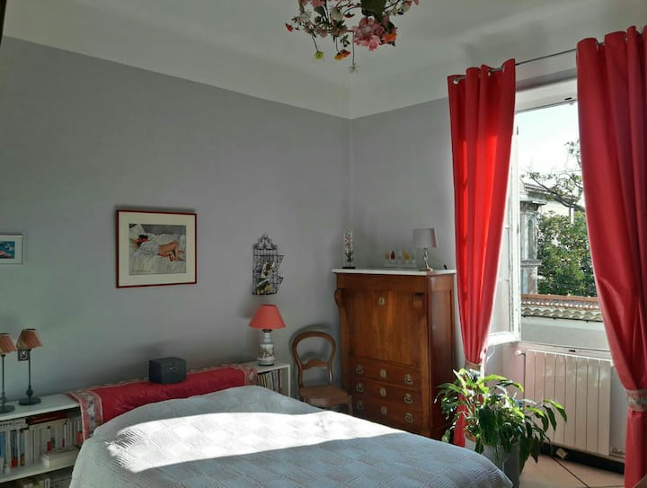 1 Room in the city center Apartments for Rent in Nîmes, Occitanie