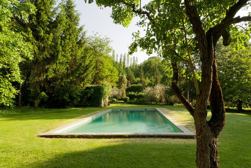 THE SWIMMINGPOOL