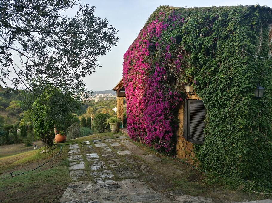 Entrada a jardín y Aparcamiento