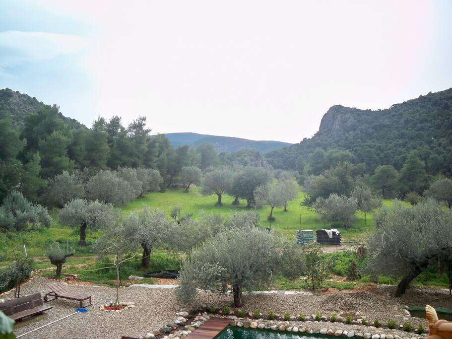 The surrounding area