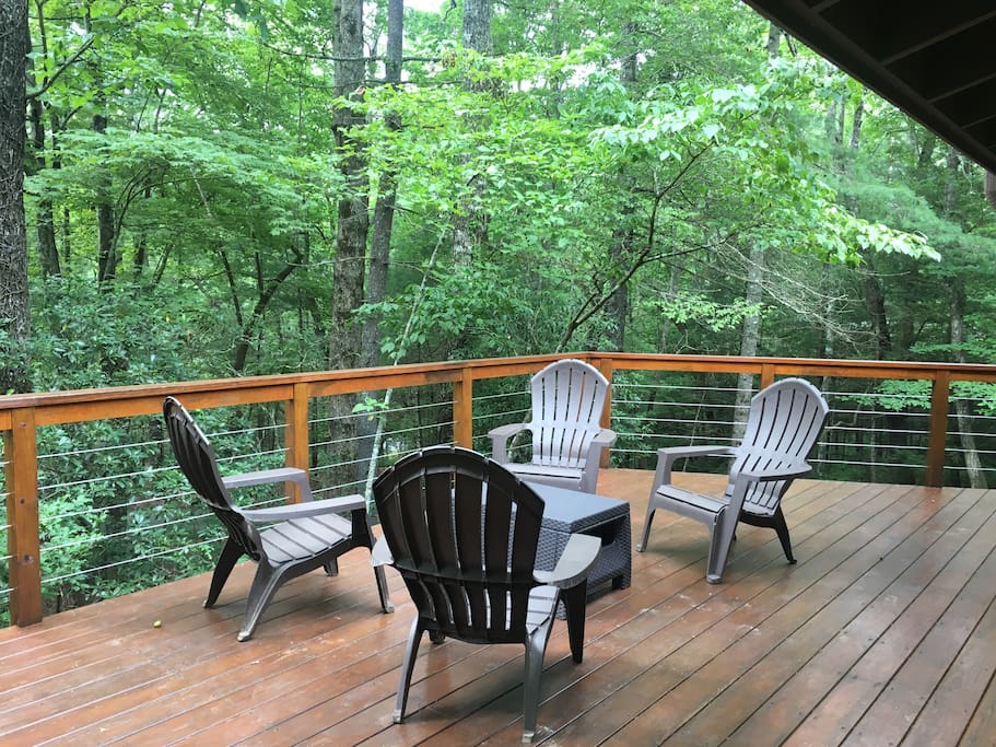 Cozy Mountain Cabin/Brevard/DuPont/Cedar Mt. Cabins for Rent in Brevard, North Carolina