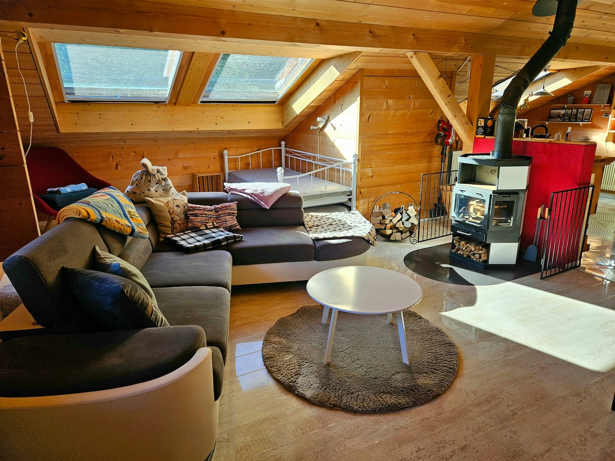 Popular Airbnb listing: Cozy apartment with sauna in the middle of the mountains in Espace Mittelland