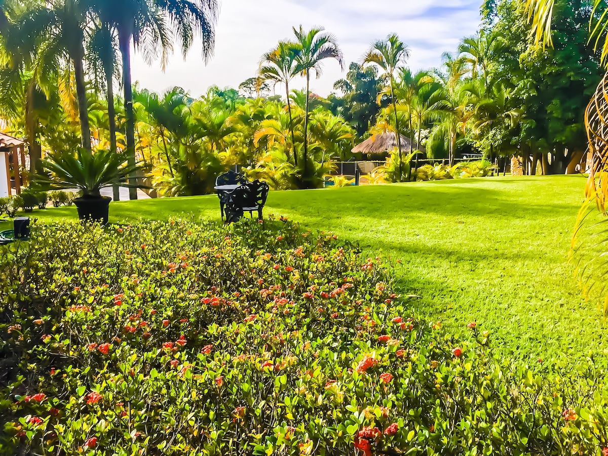 A lush garden area is featured, with vibrant green grass and varied tropical plants. Colorful flowers form patches throughout the garden, adding visual interest. Palms sway gently in the background, creating a serene atmosphere, while a black decorative bench is positioned in the foreground.