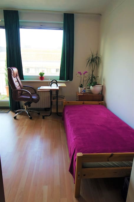 Living Room Guest Bed