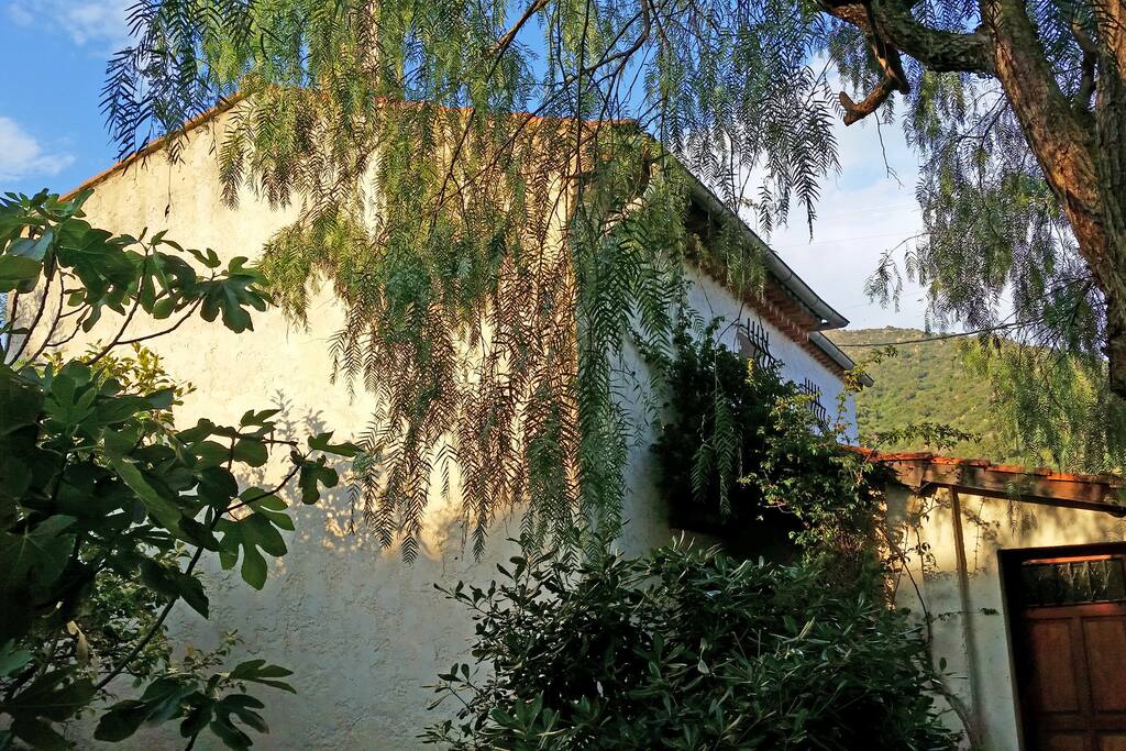 Maison sur deux étages en pleine nature.