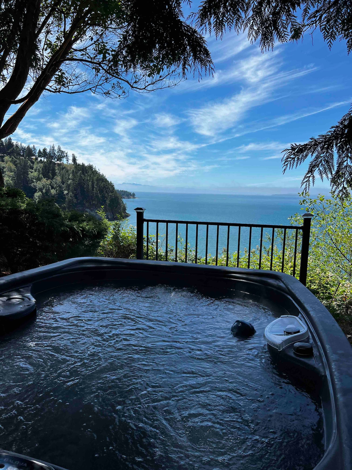 A hot tub is positioned on a deck overlooking a serene body of water, framed by lush greenery and trees. The expansive view includes a clear sky and distant hills, providing a peaceful outdoor retreat.