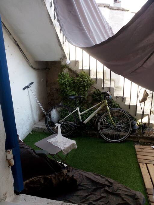 Private yard, bedroom view