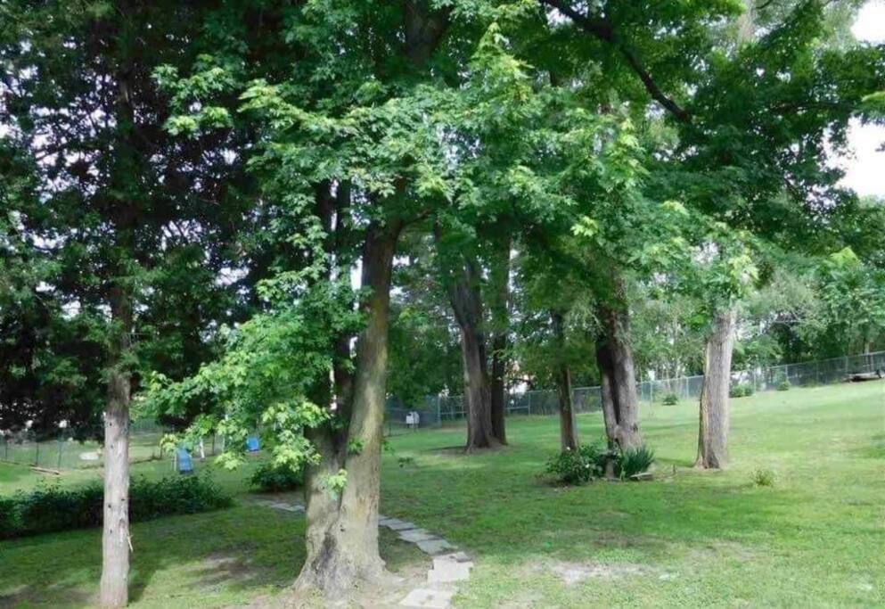 Plenty of land for recreation, cookouts, and kids and animals to play.