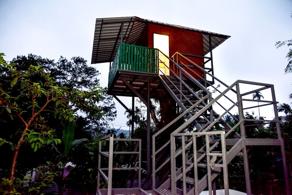 Tree House