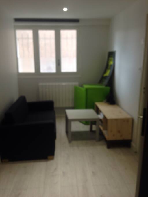 Grande pièce de 25 m2 , comprenant une lit XL de 3 places, un petit salon avec frigo et une douche .
