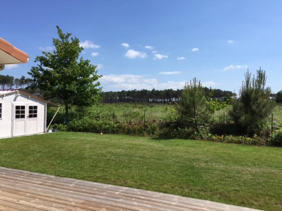 ... dans un écrin de verdure...