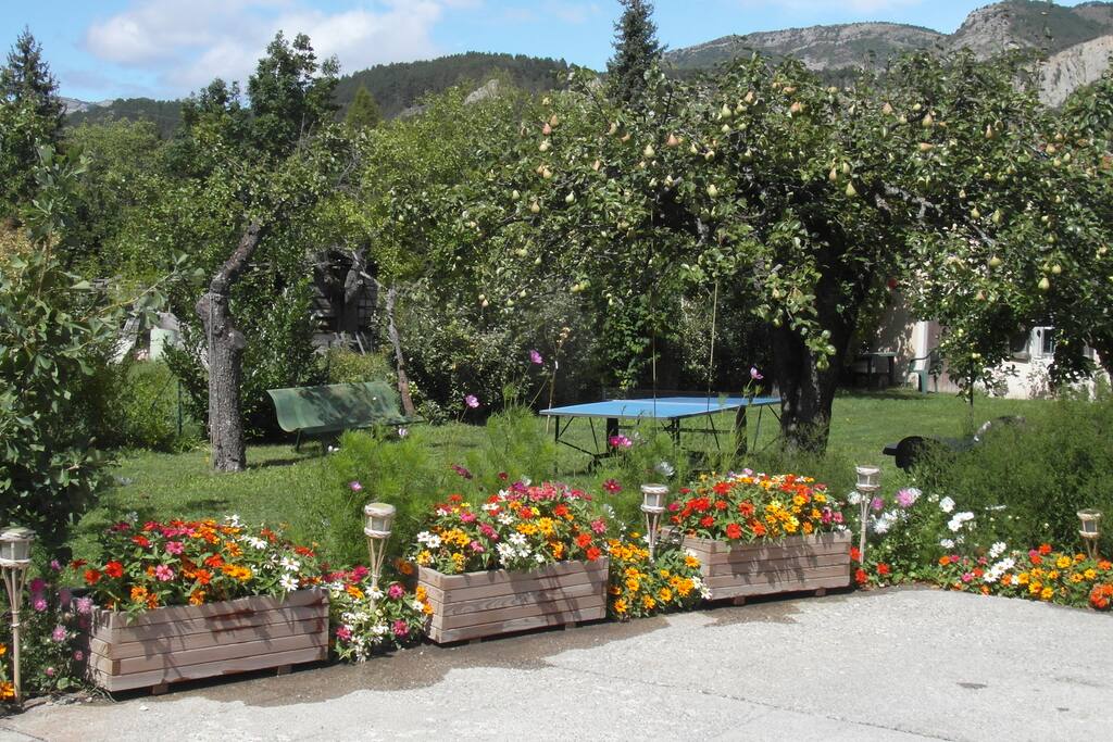 les fleurs du jardin en été