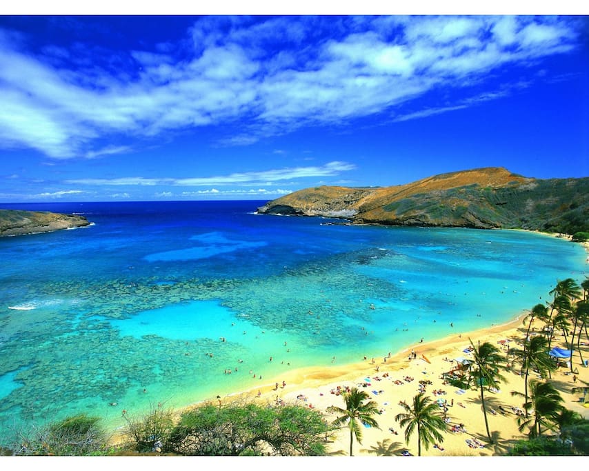 Hanauma Bay is 10 minute walking distance from our house