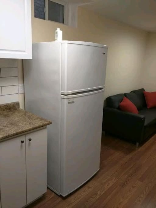 Kitchen area and Fridge