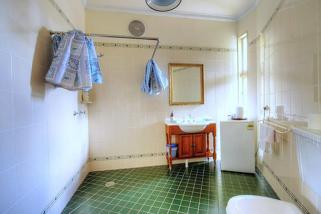 Bathroom Across Hall (Private)