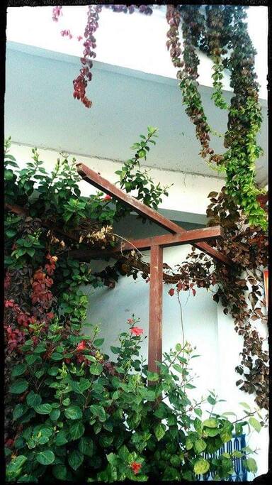 The entrance of the house