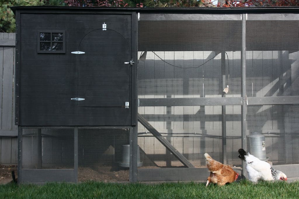 Chicken coop