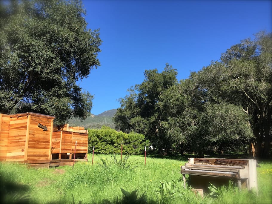 elements of the nature connection grove experience.. redwood bath house. haunted piano. glorious Santa Barbara mountain range