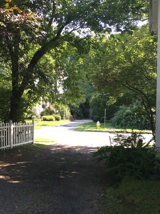 Street view from drivway