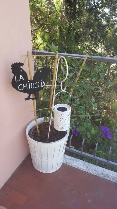 la chioccia appartamenti vacanze
