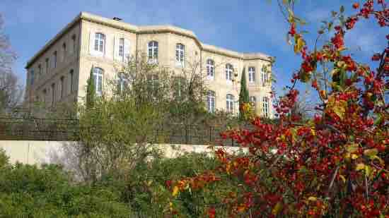 The exterior of a two-story stone building is visible, featuring an array of large windows that reflect natural light. Surrounding greenery includes a variety of plants, adding color to the scene, with vibrant red foliage in the foreground contrasting with the building's neutral tones.