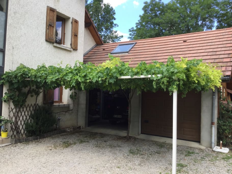 Pas encore l'heure des vendanges
