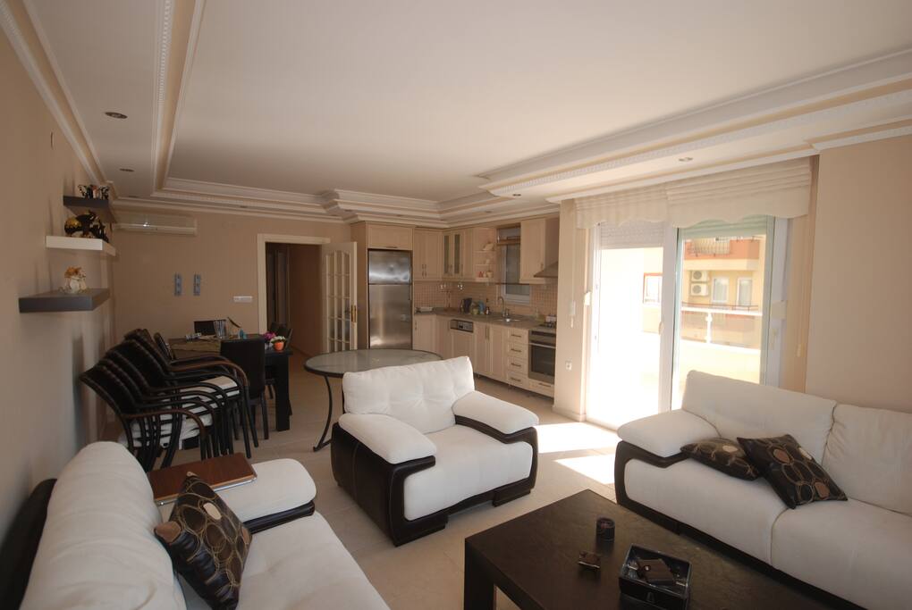 Living room with a terrace and kitchen/ Гостиная с террасой и кухней