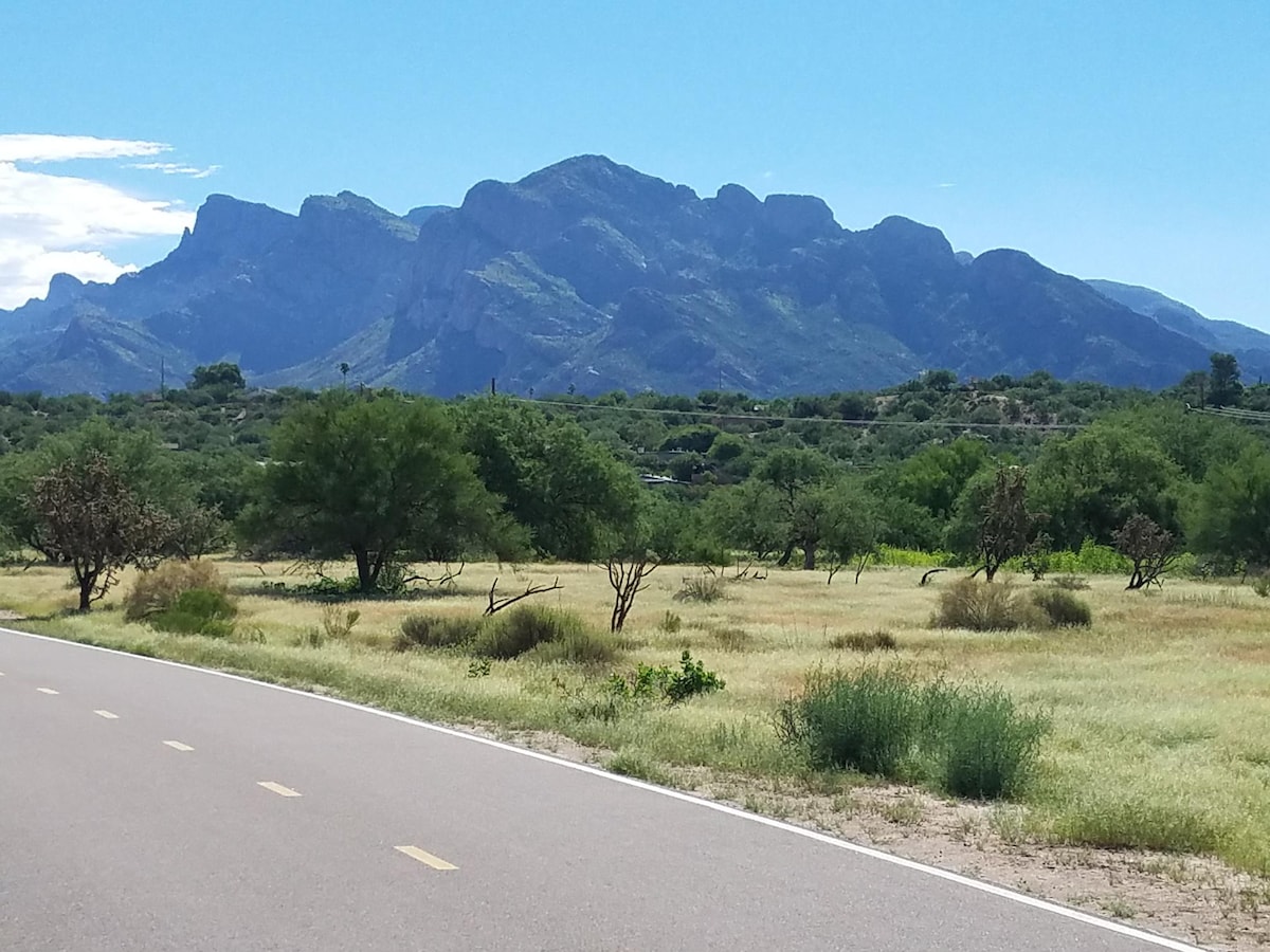 The image captures a scenic view of the Catalina Mountains in the background, rising majestically against a clear blue sky. A paved pathway runs through a grassy area dotted with low shrubs and trees, inviting outdoor exploration.