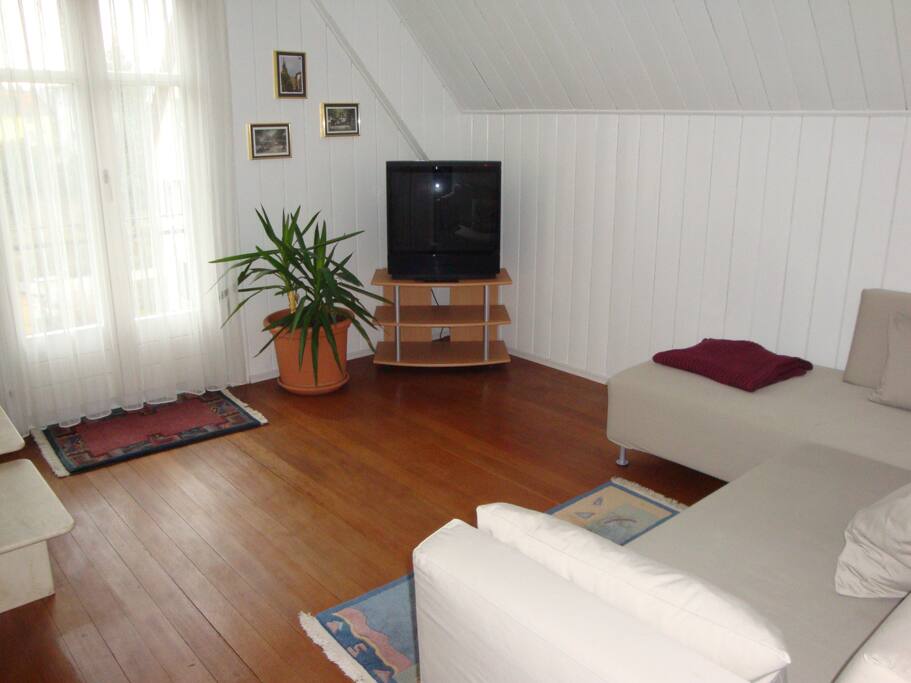 Wohnzimmer, TV (Sofa kann als Bett benutzt werden)