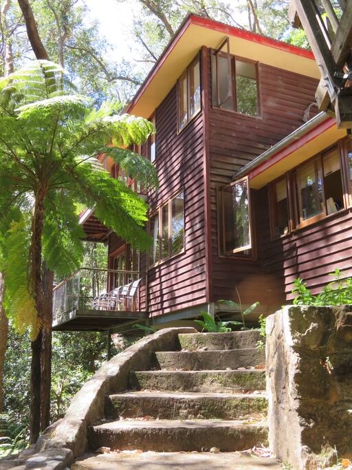 Up the front steps