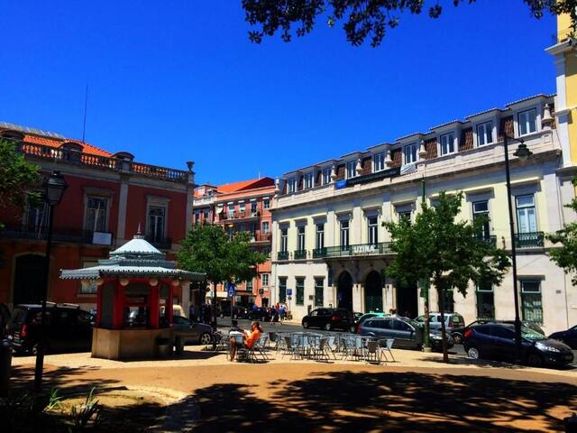 Huge 10 Bedroom Apartments in Príncipe Real gallery image 2