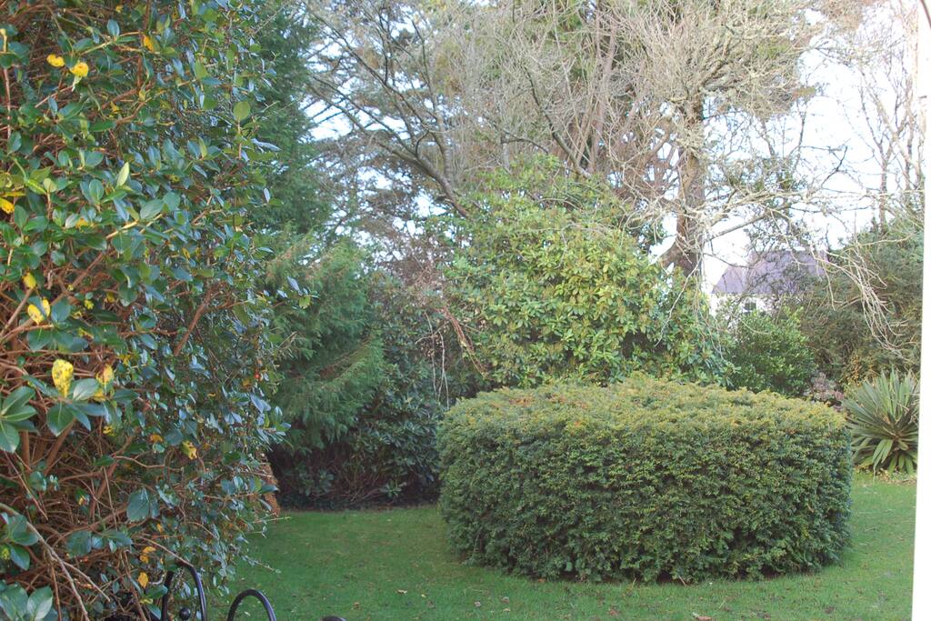 side garden