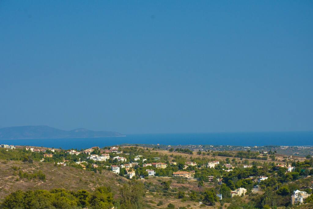 The view