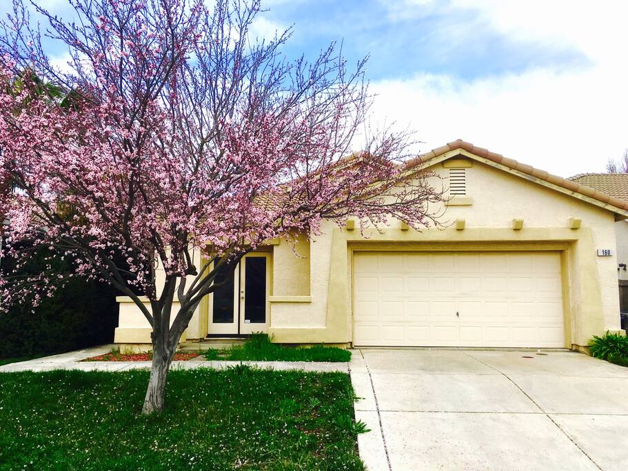 Welcome to our safe neighborhood close to the airport and downtown/historic/midtown Sacramento. Enjoy plenty of free street parking and several parks within walking distance.