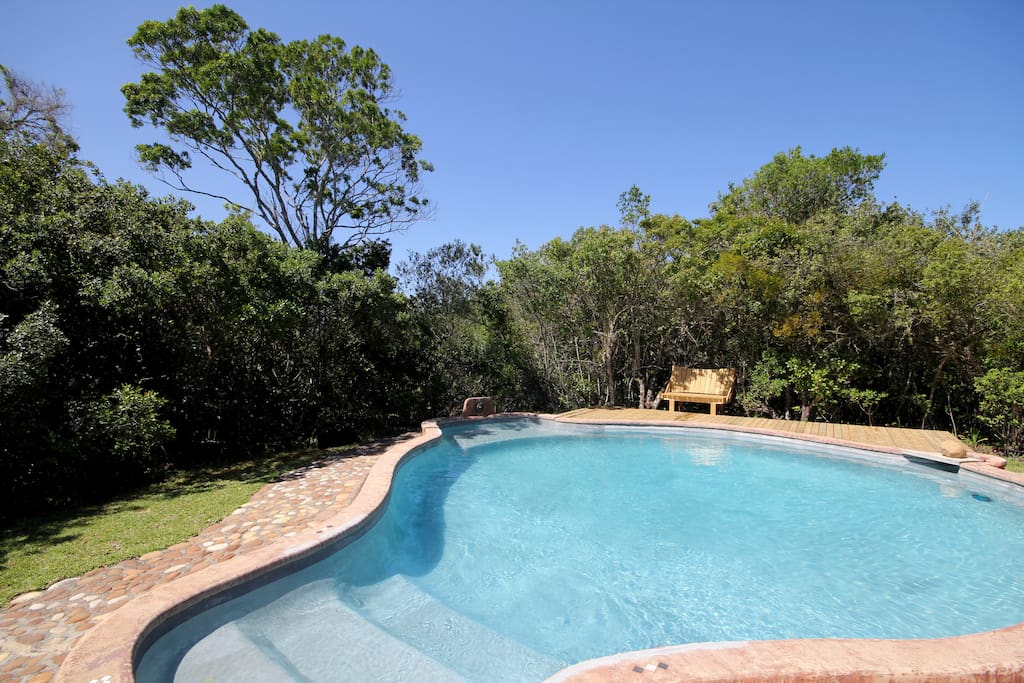 Swimming pool @ Moon Shine.