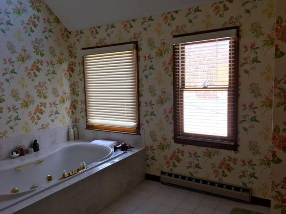 Master Bathtub