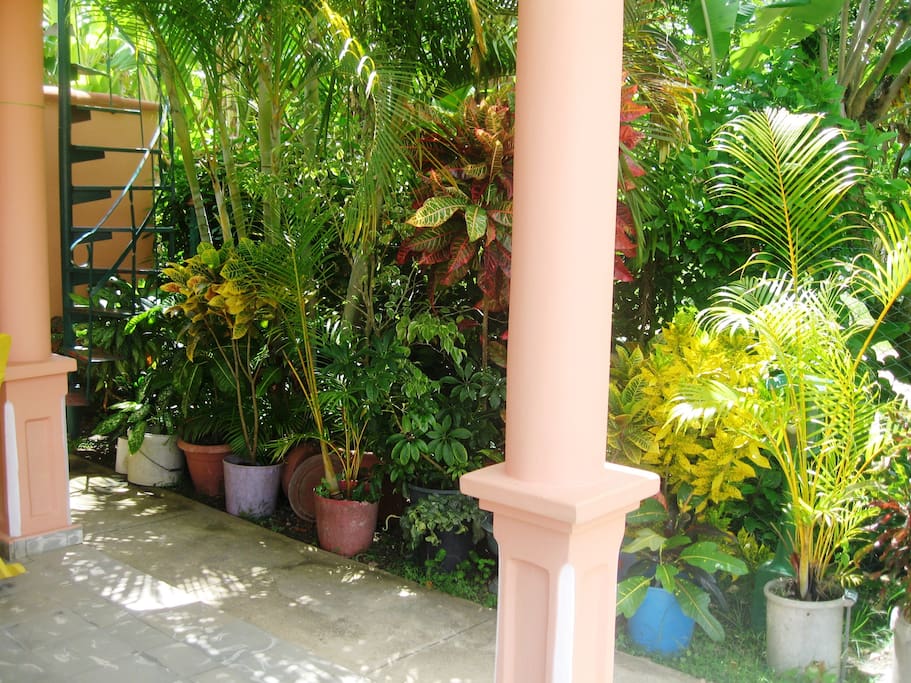 Jardin de la casa