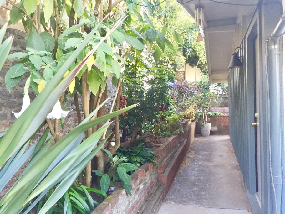 Front door with path to the back patio