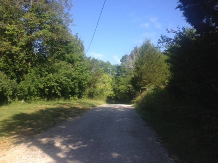 The gravel road toThe Tree House.