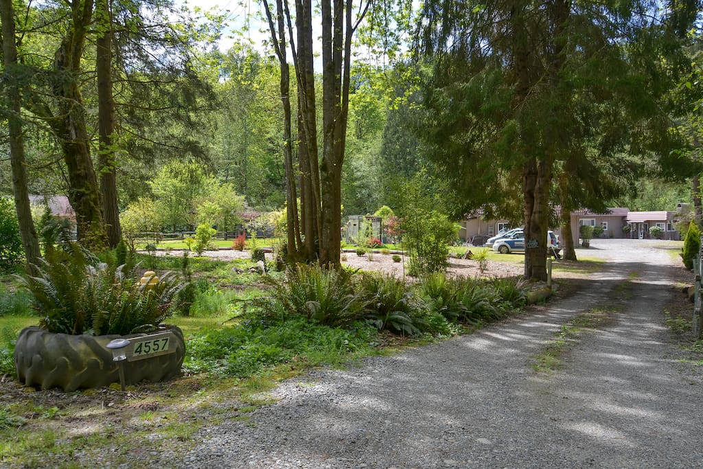 Driveway to house