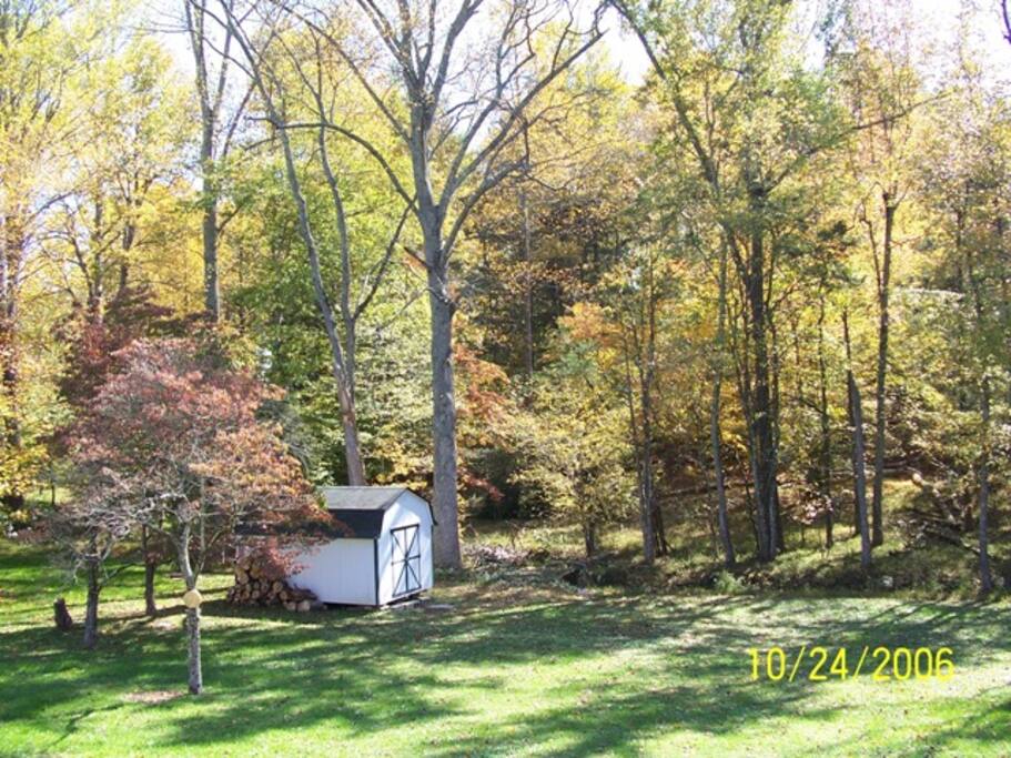 View of Backyard. Be prepared to see some deer.