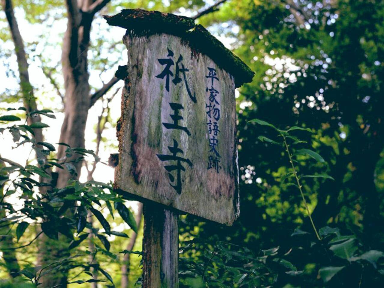 祇王寺 高孤佳人冷峻苔色 京都旅游攻略 尽在airbnb爱彼迎 祇王寺 高孤佳人冷峻苔色 京都旅游攻略 尽在airbnb爱彼迎