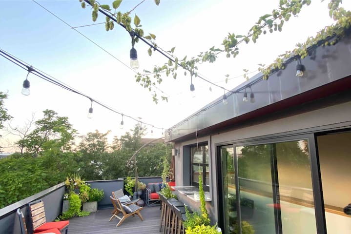 Modern 4 Story Home in LoHi with Penthouse Views