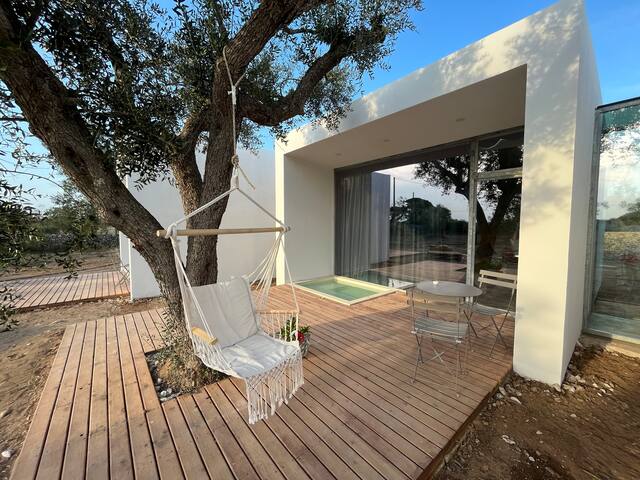 Terecate Experimental Relais Favolosa