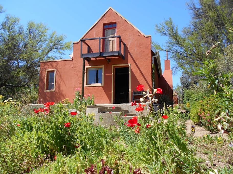 Rear view of bungalow and garden