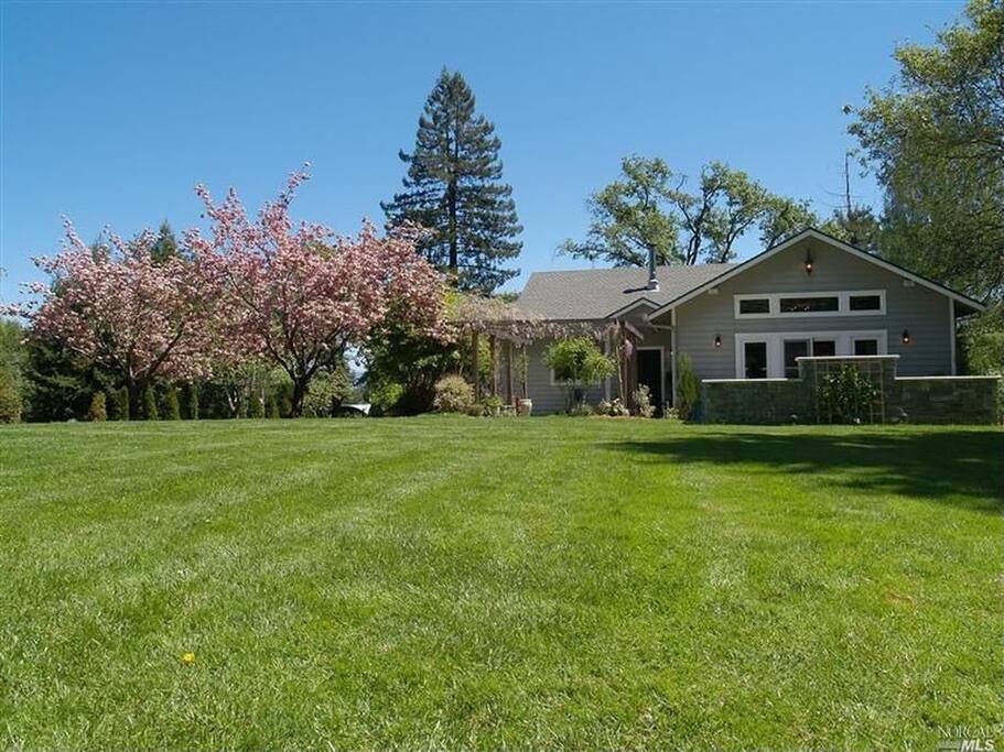 Large Lawn for Playing or Relaxing