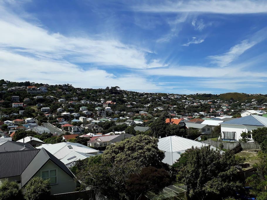 Can't beat Wellington on a good day...